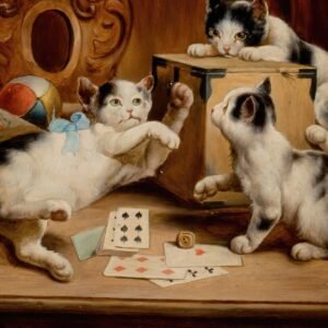 [KR/EN] 1 Question Tarot reading